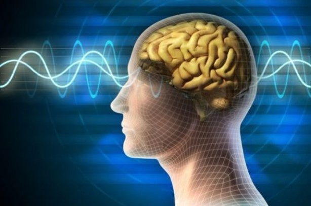 Foto - Beyin hakkındaki ilginç gerçekler!