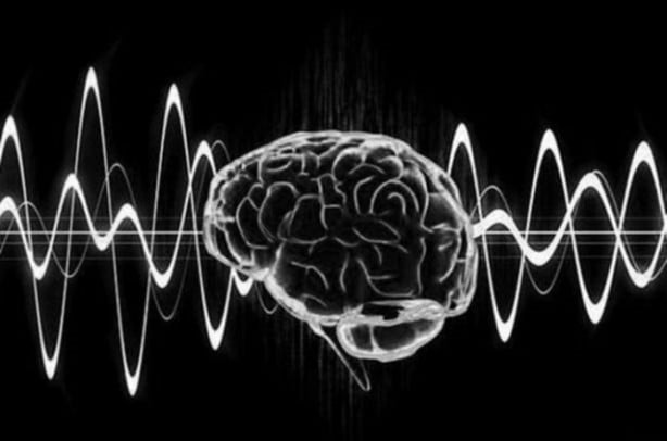 Foto - Beyin hakkındaki ilginç gerçekler!