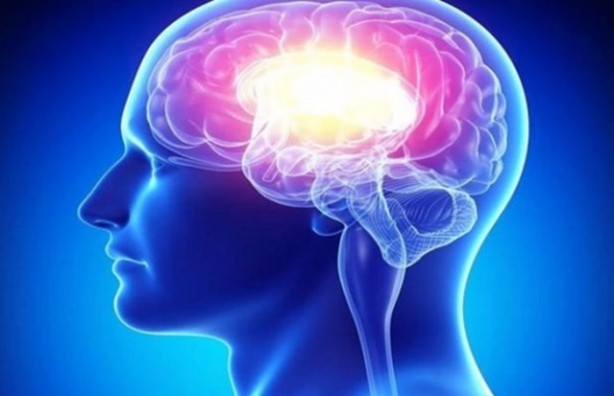 Foto - Beyin hakkındaki ilginç gerçekler!