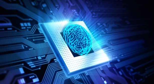 Foto - Beyin hücresi kullanan süper bilgisayar geliyor