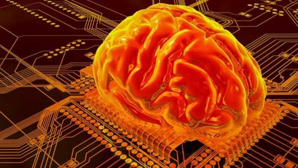 Foto - Beyin hücresi kullanan süper bilgisayar geliyor