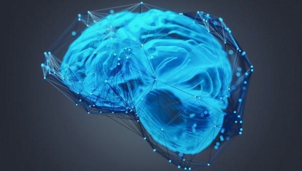 Beyin hücresi kullanan süper bilgisayar geliyor