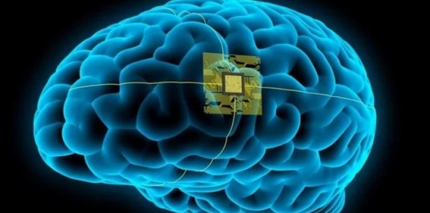 Foto - Beyin interneti yaptılar!