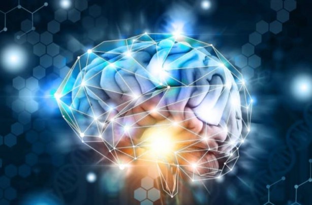 Foto - Beyin interneti yaptılar!