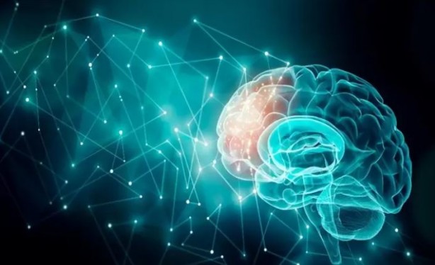 Foto - Beyin interneti yaptılar!