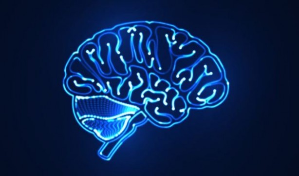 Foto - Beyin interneti yaptılar!