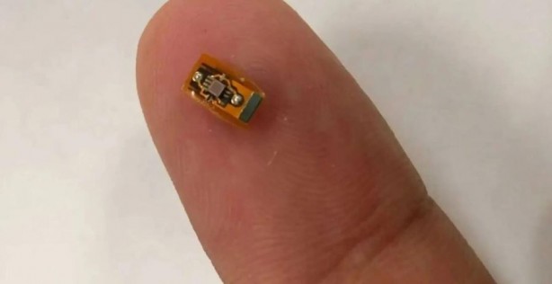 Foto - Beyin interneti yaptılar!