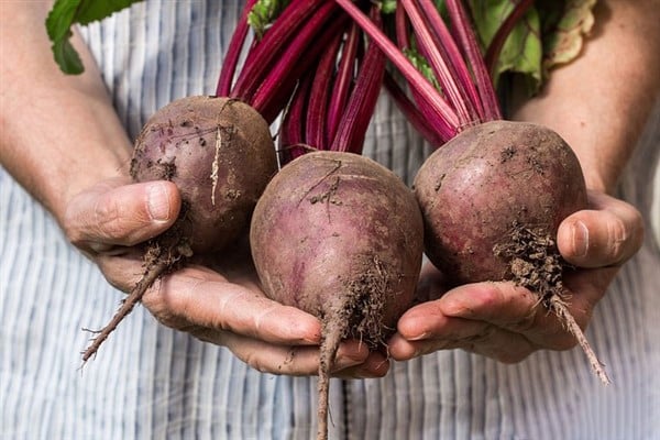 Foto - Beyin işlevlerini yenileyen tek yiyecek var: Gizli saklı tüm sırrı ne açıklıyoruz! Seçim için şimdi de sıra sizde!