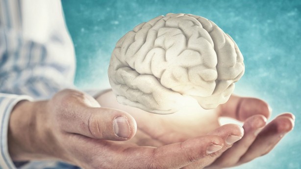 Foto - Beyin sağlığına iyi gelen ve hafızayı güçlendiren besinler