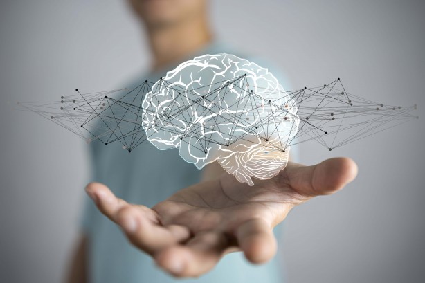 Foto - Beyin sağlığını korumak isteyen, mutlaka ama mutlaka bu gıdaları tüketsin! İşte beyni zehir gibi çalıştıran o mucizevi gıdalar