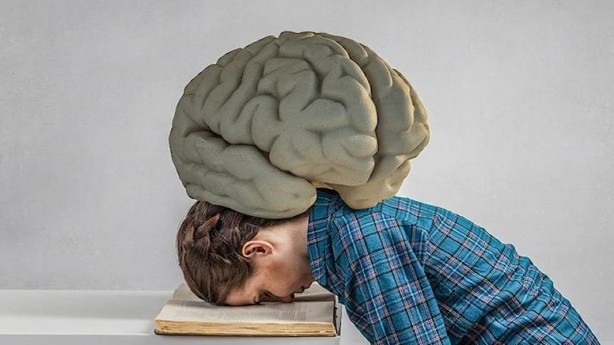 Foto - Beyin sağlığını korumak isteyen, mutlaka ama mutlaka bu gıdaları tüketsin! İşte beyni zehir gibi çalıştıran o mucizevi gıdalar