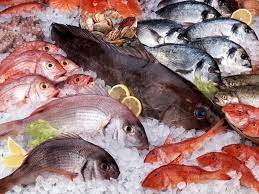 Foto - Beyin sağlığını koruyor, unutkanlığa birebir iyi geliyor! Uzmanı açıklaması: Hafızayı çelik gibi yapıyor