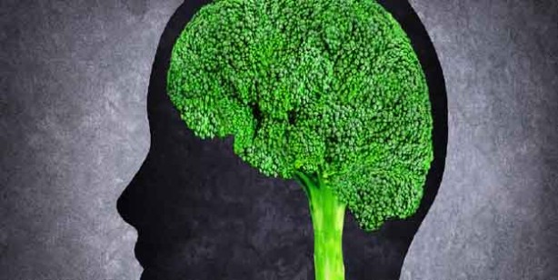 Foto - Beyin ve sinir sistemi için en faydalı 6 besin