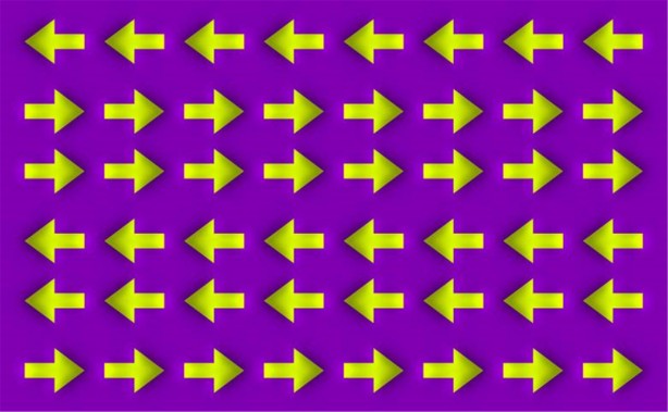 Foto - Beyin yakan gifler!