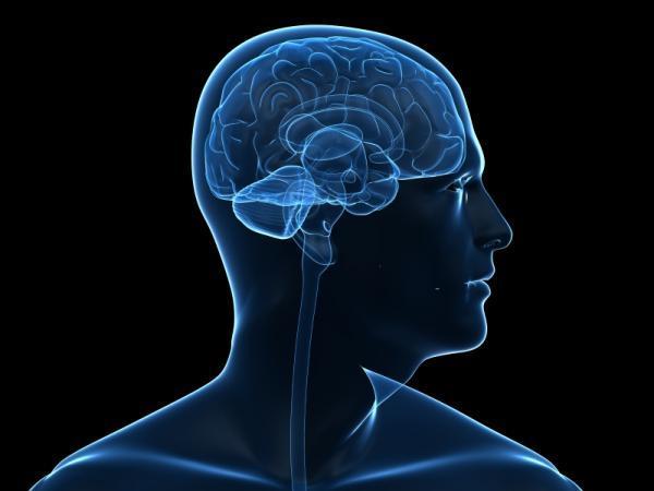 Foto - Beyin yaşınızı hesaplamak bu testle elinizde