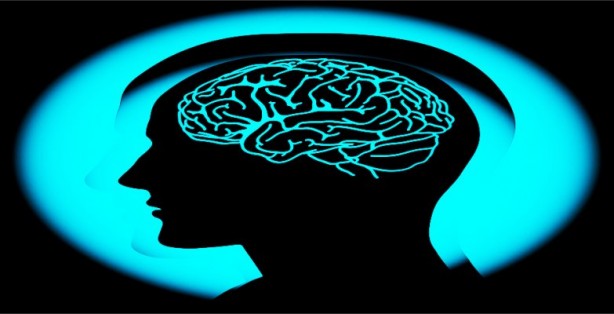 Foto - Beyin yaşınızı hesaplamak bu testle elinizde