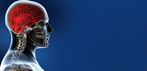 Foto - Beyin yaşınızı hesaplamak bu testle elinizde