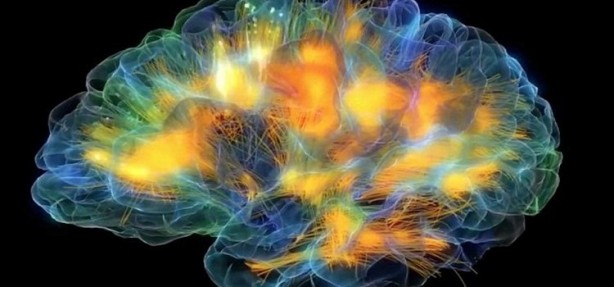 Foto - Beyin yaşınızı hesaplamak bu testle elinizde