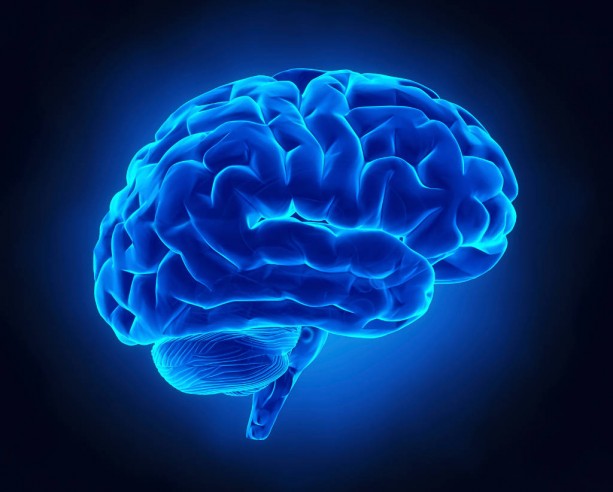 Foto - Beyin yaşınızı hesaplamak bu testle elinizde