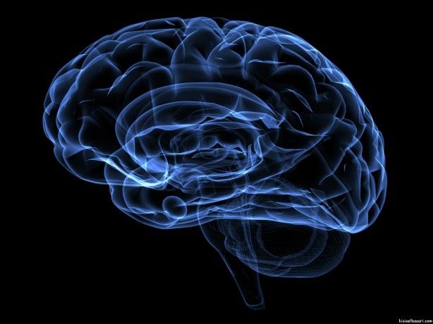 Foto - Beyin yaşınızı hesaplamak bu testle elinizde