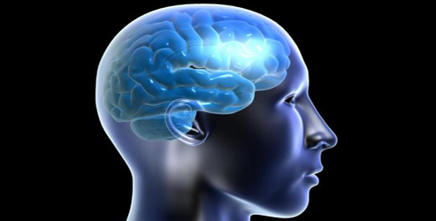 Foto - Beyin yaşınızı hesaplamak bu testle elinizde