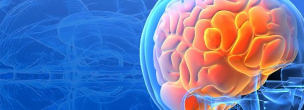 Foto - Beyin yaşınızı hesaplamak bu testle elinizde