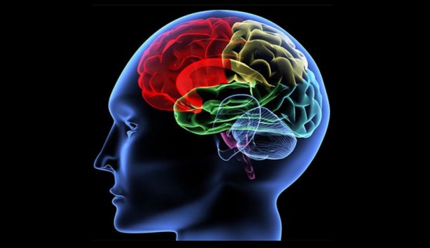 Foto - Beyin yaşınızı hesaplamak bu testle elinizde