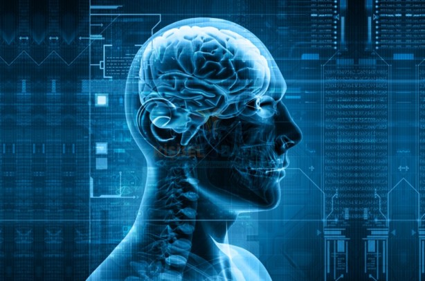 Foto - Beyin yaşınızı hesaplamak bu testle elinizde