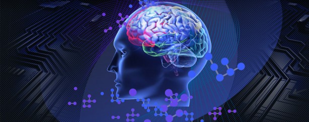 Foto - Beyin yaşınızı hesaplamak bu testle elinizde