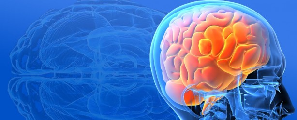 Foto - Beyin yaşınızı hesaplamak bu testle elinizde