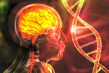 Foto - Beyini yerle bir ediyor! Aman dikkat: Bilişsel bozukluğa neden olabilecek 5 gıda açıklandı!