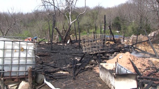 Foto - Beykoz’da ahır yandı, 2 hayvan telef oldu
