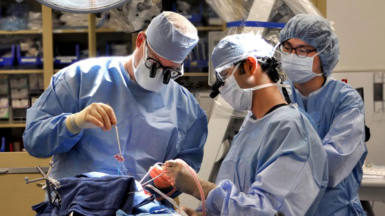 Foto - Beyne elektrotlar yerleştiriliyor! Hastalık bu yöntemle kontrol altına alınıyor