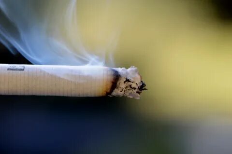 Foto - Beyne zarar veren 15 neden belli oldu