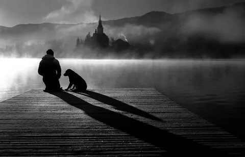 Foto - Beyne zarar veren 15 neden belli oldu