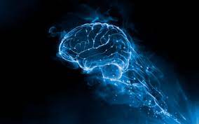 Foto - Beyni koruyan 3 vitamin