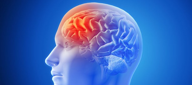 Foto - Beyni koruyan 3 vitamin