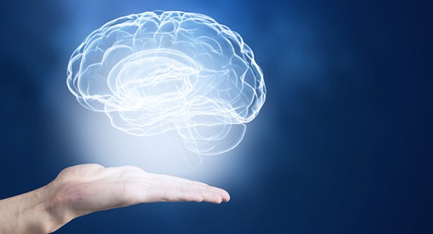 Beyni koruyan 3 vitamin