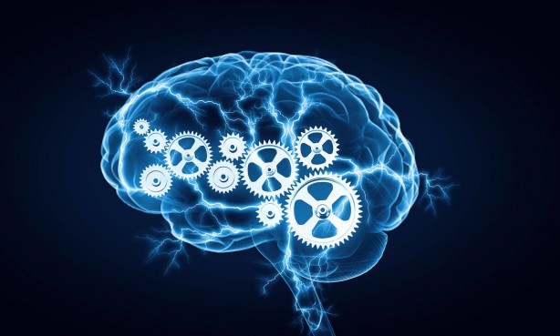 Foto - Beyni koruyan 3 vitamin