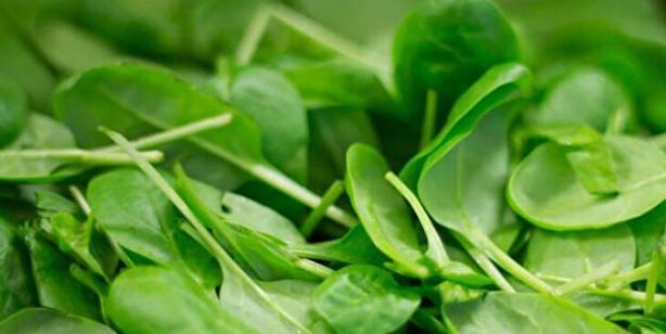 Beyni koruyan ve unutkanlığı yok eden 11 besin! Kullanın iyi gelir: Beyin hemen olumlu büyük tepki veriyor 