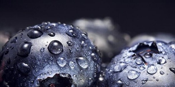 Foto - Beyni koruyan ve unutkanlığı yok eden 11 besin! Kullanın iyi gelir: Beyin hemen olumlu büyük tepki veriyor 