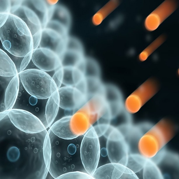 Foto - Beyni yenileyen selenyumun insan sağlığına 8 muhteşem faydası