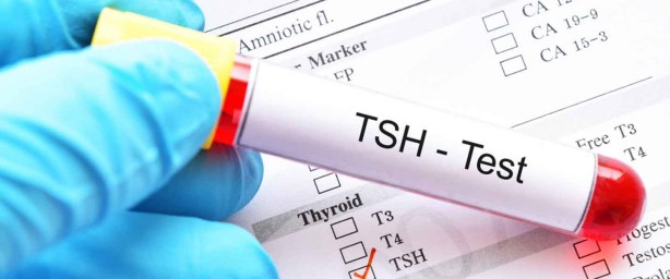 Foto - Beyni yenileyen selenyumun insan sağlığına 8 muhteşem faydası