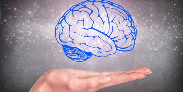 Foto - Beynimizi ve hafızamızı sağlıklı tutmak için ipuçları! 81 yaşındaki doktor açıkladı