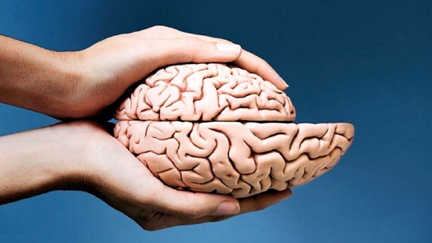 Foto - Beyin aktivitesini güçlendiren bitkiler