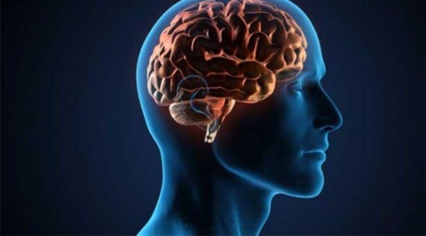 Beyninizin tüketmek istediği 8 besin