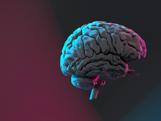 Foto - Beyninizin tüketmek istediği 8 besin