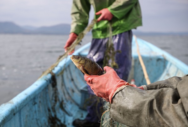 Foto - Beyşehir Gölü'nde balık avı böyle görüntülendi