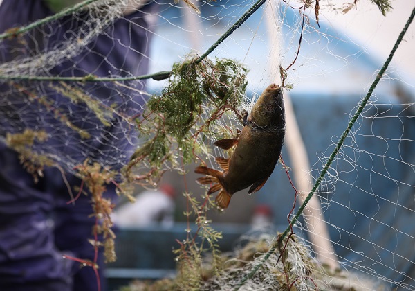 Foto - Beyşehir Gölü'nde balık avı böyle görüntülendi