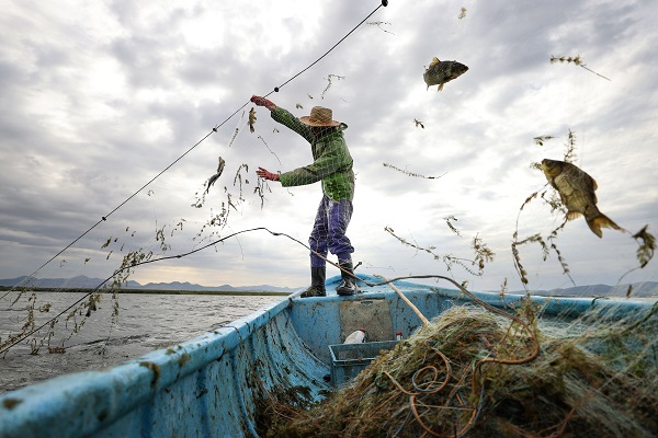 Foto - Beyşehir Gölü'nde balık avı böyle görüntülendi